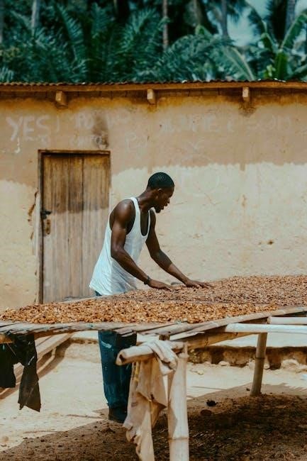 cocoa wheat instructions